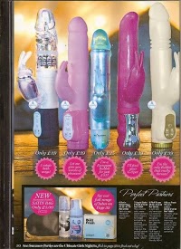 Ann Summers Party Planner 1213322 Image 2