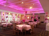 Balloons for Events 1211571 Image 1