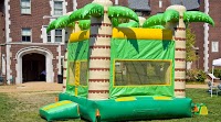 Cambs Bouncy Castles 1211792 Image 0