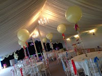 Cardelium   The Balloon and Party Outlet 1214444 Image 2