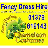 Chameleon Costumes Fancy Dress 1211507 Image 4