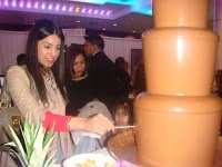 Chocolate Fountain and Fruit Palm Hire   Infinity Fountains 1210833 Image 7
