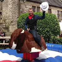 Jumping Jos inflatables and bouncy castle hire 1211461 Image 5