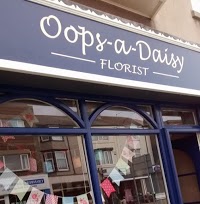 Oops a Daisy Florist 1212436 Image 0
