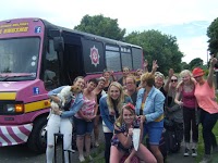 Party Buses Belfast 1208455 Image 7