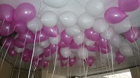 Telford Balloons 1208904 Image 2