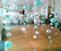 Telford Balloons 1208904 Image 8