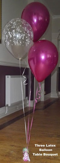 The Balloon Studio 1212066 Image 5