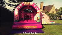 Ace Inflatables 1206451 Image 0