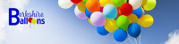 Berkshire Balloons 1210278 Image 6