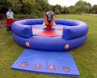 Bounce On Bouncy Castle and Inflatable Hire 1207226 Image 5