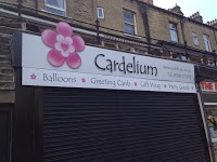Cardelium   The Balloon and Party Outlet 1214444 Image 1