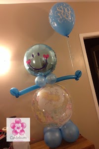 Cardelium   The Balloon and Party Outlet 1214444 Image 5