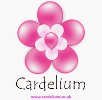 Cardelium   The Balloon and Party Outlet 1214444 Image 6