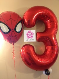 Cardelium   The Balloon and Party Outlet 1214444 Image 8