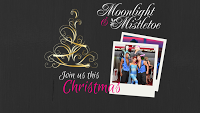 Christmas Party Venue Wolverhampton   Moonlight and Mistletoe 1209367 Image 3