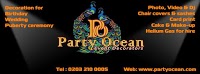 Party Ocean 1211835 Image 8