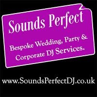 Sounds Perfect   Wedding DJ, Party DJ and Corporate DJ Services 1205892 Image 2