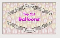 Top Cat Balloons 1211039 Image 6